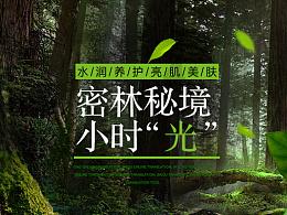 奥日与黑暗森林